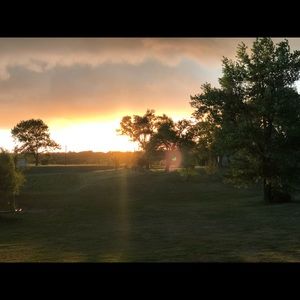 Meet your Posher, Cassidee